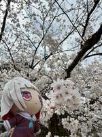 https://images.plurk.com/1FJkvtsBYB7f9eLzl5AWZ0.jpg