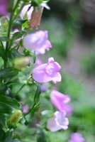 https://images.plurk.com/1FLmUINe3xqw7dGjicNCXs.jpg