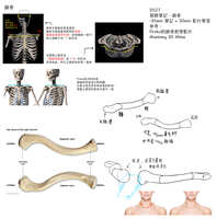 https://images.plurk.com/1FRDMPiflKIsMnC5EpC4eP.jpg