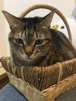 https://images.plurk.com/1FWKpGPf7flqd3D5O9fj9S.jpg