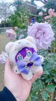 https://images.plurk.com/1FXp0WKEcecyvivB2tX1pe.jpg