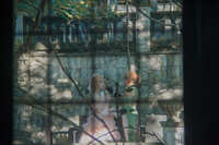 https://images.plurk.com/1FbBjCJ4CBLf1nTwHyri6J.jpg