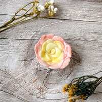 https://images.plurk.com/1Fc3jNqFd5UWsmVpdMKkZQ.jpg