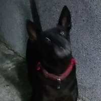 https://images.plurk.com/1Fc7pFMv2wkAHAG4Ckemzz.jpg