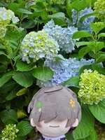 https://images.plurk.com/1FhAvryiFROan9DtR2VGHA.jpg