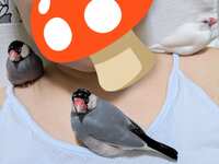 https://images.plurk.com/1FifaSJbamyxrUpLlkbQVE.jpg