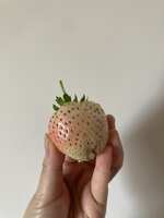 https://images.plurk.com/1FjMkAnr9JehNcbESpswTt.jpg