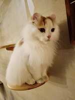 https://images.plurk.com/1FsGkcCgBP1nCX0LGJHWTQ.jpg