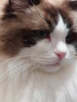 https://images.plurk.com/1GGisrcAQGgebyMpWMEg9A.jpg