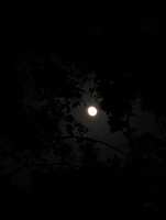 https://images.plurk.com/1GJmMNcxmCu6ASqpuGfSt0.jpg