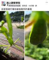 https://images.plurk.com/1GKQjHYDQS7BchKdSTawqT.jpg