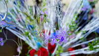 https://images.plurk.com/1GUpHYHHUVNSHITJherMTd.jpg