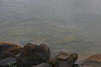 https://images.plurk.com/1GX3x0oRs4Tt1x5dcKqCNO.jpg