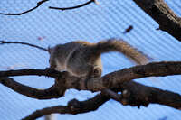 https://images.plurk.com/1GcTQSYtnGBWHooVESsyte.jpg