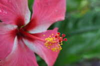 https://images.plurk.com/1GdHq1mGvQmLxjKXFf5svO.jpg