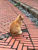 https://images.plurk.com/1GgBTvFysK0i323pPBpFtH.jpg