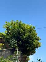 https://images.plurk.com/1Ghkumo5Mw9qnsLCxlsCB2.jpg