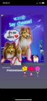 https://images.plurk.com/1GkGPDnJatwbxPetFfGnpV.png
