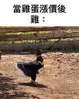 https://images.plurk.com/1Gp4zhKVdYx6HIKBnGUmJ0.jpg