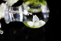 https://images.plurk.com/1Gqxr90H8HTfGRBrQkbdbO.jpg