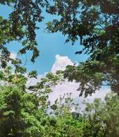 https://images.plurk.com/1Gr4hOaxvYbkb7obJFXmJA.jpg