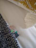https://images.plurk.com/1GvICFevBSqWtCP3lEs6SS.jpg