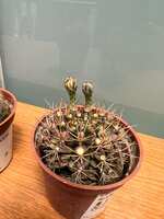 https://images.plurk.com/1GyOqnKoxmJIi3oloxuoK9.jpg