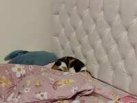 https://images.plurk.com/1H2KWGSFJ9UYdckMGf6VRk.jpg
