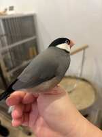 https://images.plurk.com/1H6yFpheAbf8n0QDNLnAZA.jpg