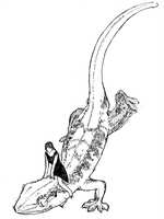 https://images.plurk.com/1HB4OrGMGgkBqzDBDu5odT.jpg
