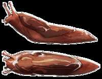 https://images.plurk.com/1HDvrRROLgLSLDdKQZ8zgI.png