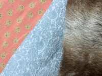 https://images.plurk.com/1HKFHFV412ohwaAILcqDTn.jpg