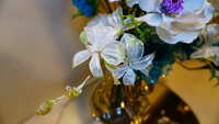 https://images.plurk.com/1HLM9rxtKfJYuJzx8hMINb.jpg