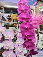 https://images.plurk.com/1HQWrKYT6wEMBnB0lCBQ57.jpg