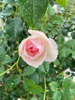 https://images.plurk.com/1HROGC4uaD8paldwNwefLc.jpg