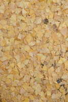 https://images.plurk.com/1HVGTxGRpFheuNYcqNAg6J.jpg