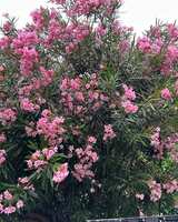 https://images.plurk.com/1HVqvk5unMRXk36T0ABpBK.jpg