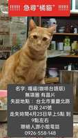 https://images.plurk.com/1HYcbGC1Q6zAO6iJZRhmKD.jpg