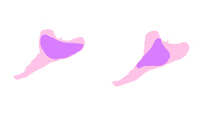 https://images.plurk.com/1HZ7obHP0SGEGXWgRRVx7f.jpg