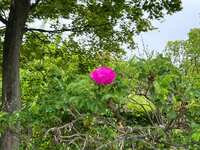https://images.plurk.com/1HnHpvc9bHBL7LtIeaoaWV.jpg
