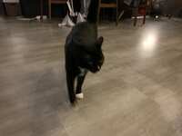 https://images.plurk.com/1HqPtyjgGvtn4OiDB7ZQXp.jpg
