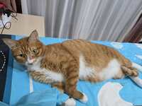https://images.plurk.com/1HroaV2rMipfQBftr0bj7N.jpg