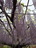 https://images.plurk.com/1Hwq0W01f5FSps0JmHuItF.jpg