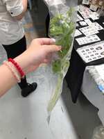 https://images.plurk.com/1HyLzNd0BgHv2dz7yc2eFn.jpg