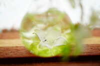 https://images.plurk.com/1I41HeUtDCKMljASYkVK4F.jpg