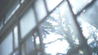 https://images.plurk.com/1I6QYSkSGk5FtzeYHI2c7W.jpg