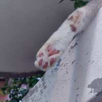 https://images.plurk.com/1IC1JAdv7DmbYWYtfn0jji.jpg