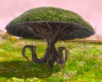 https://images.plurk.com/1ILjv1RUdu2KTDIQqmXhNP.png