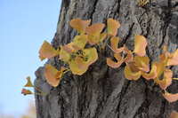 https://images.plurk.com/1IPUVPaROenOsyGGRhix2c.jpg