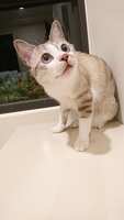 https://images.plurk.com/1ITFqCVz0fO2XBwrkRac4N.jpg